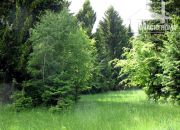 Działka rolna ,leśna ,rekreacja ,domki miniaturka 11