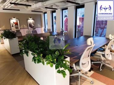 Ochota: coworking