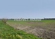 Spółdzielnia rolcznicza 155 ha - pow. poznański miniaturka 44