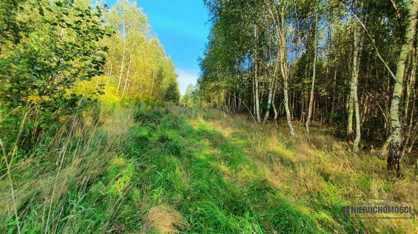 Działka budowlana w pobliżu Jeziora Pile. miniaturka 14