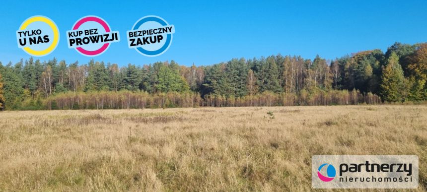 Bieszkowice, 480 000 zł, 2.69 ha, rolna miniaturka 7