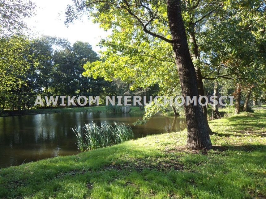 Odrano-Wola, 3 950 000 zł, 5.32 ha, woda w drodze miniaturka 11