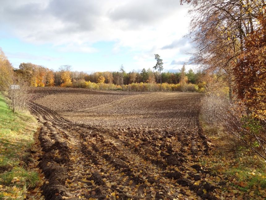 Błądzim, 250 000 zł, 1 ha, rolna miniaturka 4