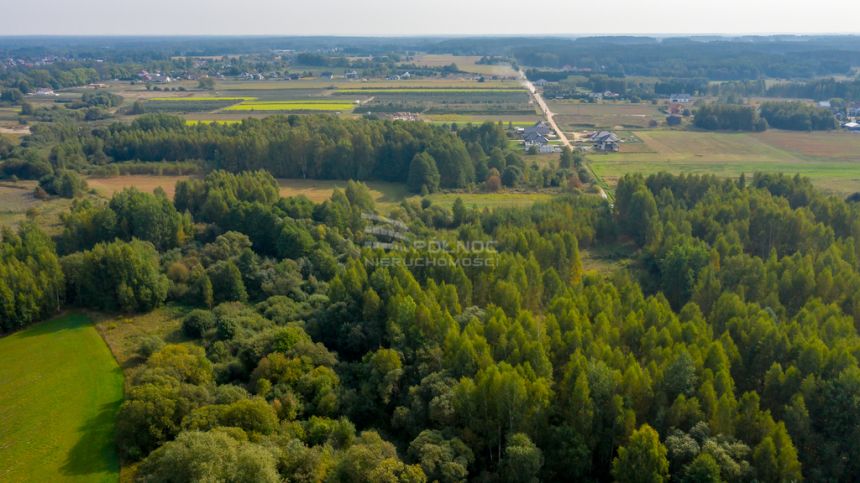 Poczuj się pod Białymstokiem jak na Mazurach miniaturka 11