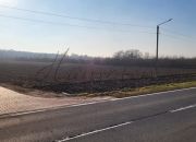 Kromnów, 868 950 zł, 2.9 ha, droga dojazdowa gruntowa miniaturka 8
