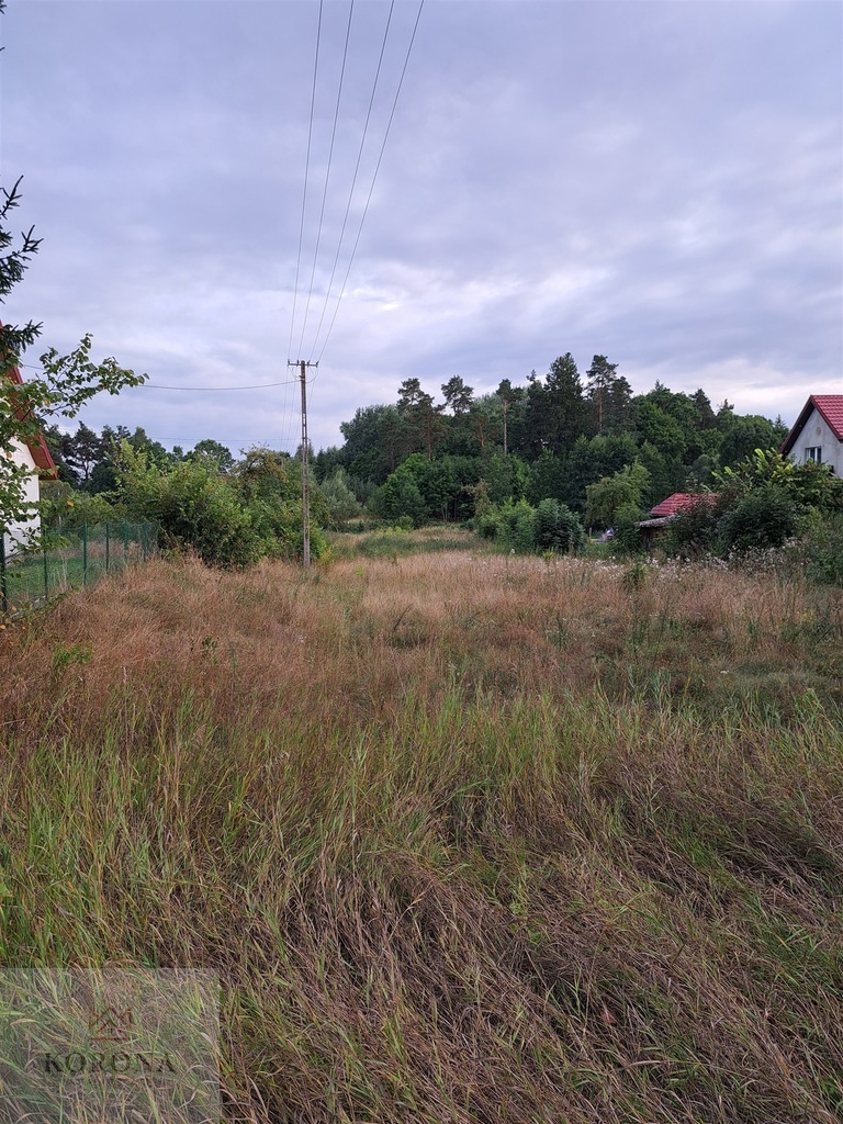 Działka w Rożyńsku Wielkim o powierzchni 2887 m2 miniaturka 5