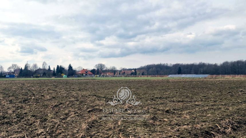 Działka siedliskowa 3000m2 z MPZP gm. Kąty Wrocławskie, Sokolniki miniaturka 9