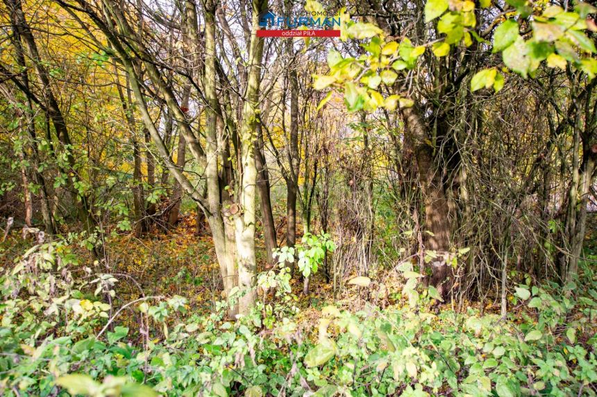 Nowy Dwór, 159 000 zł, 64.59 m2, parter miniaturka 18
