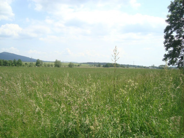 Mieroszów, 112 000 zł, 25.05 ar, przyłącze kanalizacji miniaturka 3