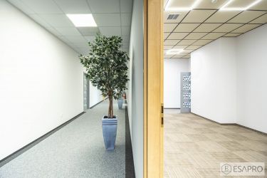Lublin 3 600 zł 80 m2