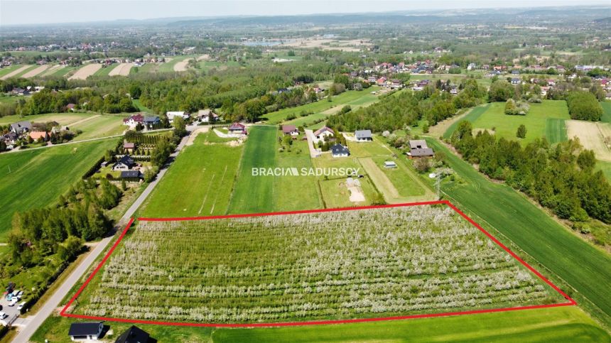Działka siedliskowa Bęczyn, gm. Brzeźnica - zdjęcie 1