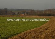 Nowy Dwór-Parcela, 167 000 zł, 1.09 ha, droga dojazdowa asfaltowa miniaturka 6