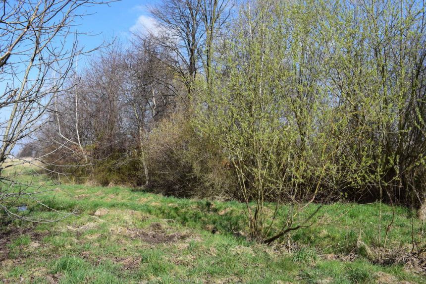 Działka budowlana 12a Rzeszów-Słocina miniaturka 5