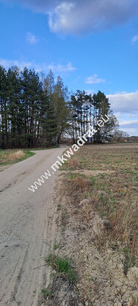 Budowlana, pod lasem, 8191 m2 miniaturka 2