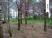 Działka nad Bugiem - Mężenin miniaturka 3