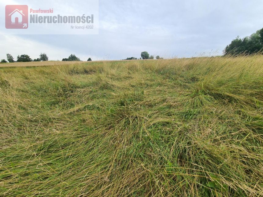 Radziszów, 130 000 zł, 9.78 ar, droga dojazdowa polna miniaturka 5