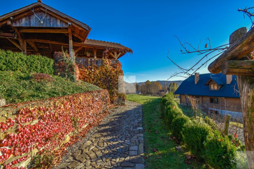 Klimatyczna winnica na pograniczu Bieszczad miniaturka 15