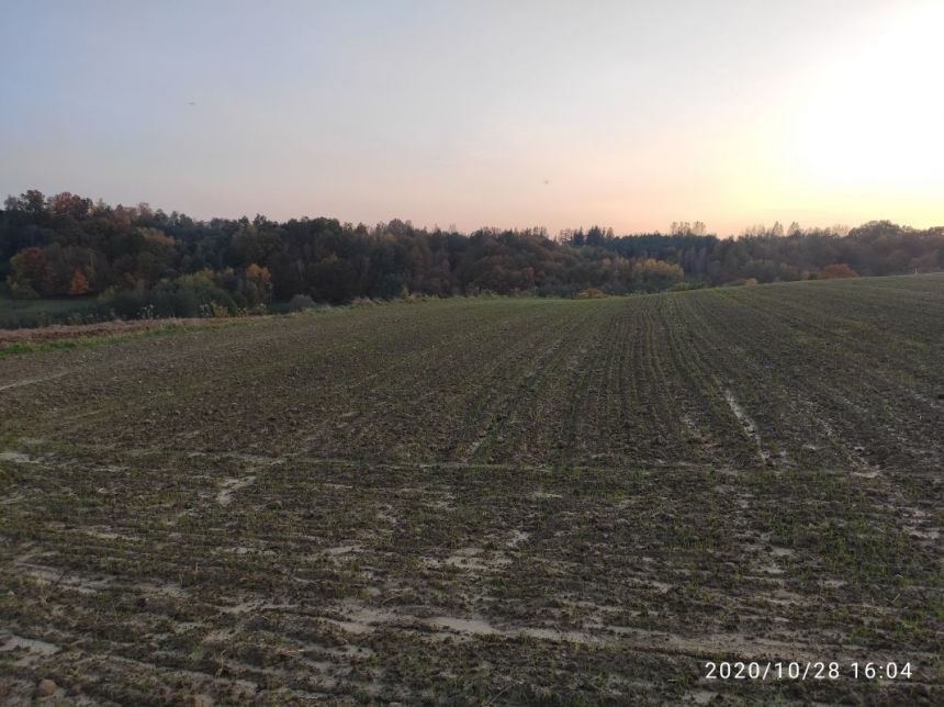 Siedliska, 125 000 zł, 1.13 ha, budowlana miniaturka 8