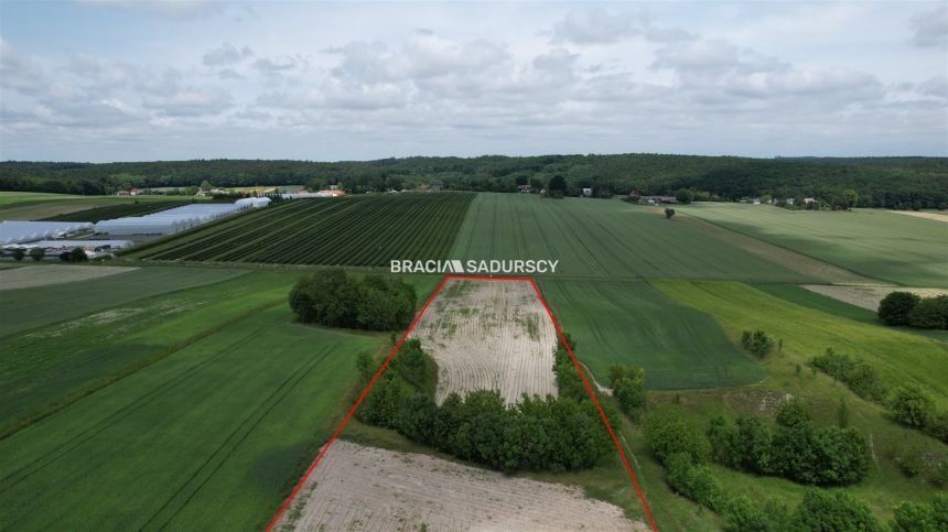 Prandocin-Iły, 287 000 zł, 3.05 ha, rolna miniaturka 9