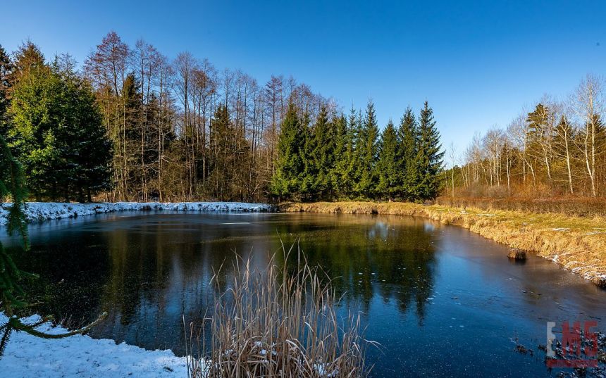 Ciasne, 349 000 zł, 51 ar, prostokątna miniaturka 4