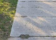 Żabia Wola, 484 000 zł, 12.16 ar, droga dojazdowa utwardzona miniaturka 6