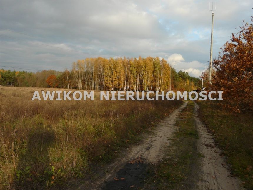 Puszcza Mariańska, 84 000 zł, 12 ar, budowlana miniaturka 3