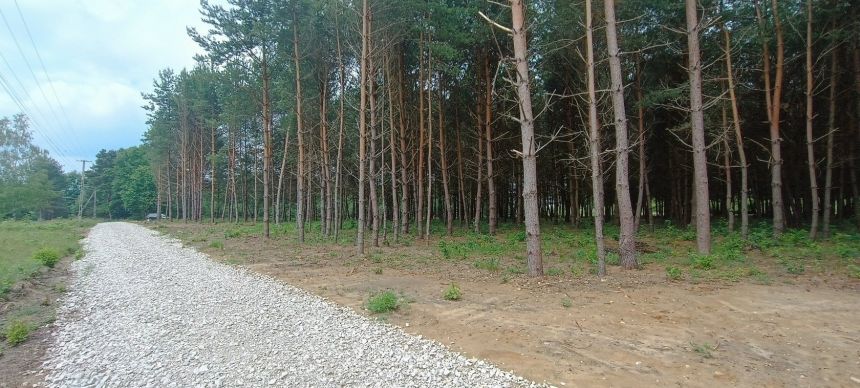 Działka 2197 m2, Niwy Daleszyckie (gm. Daleszyce) miniaturka 10