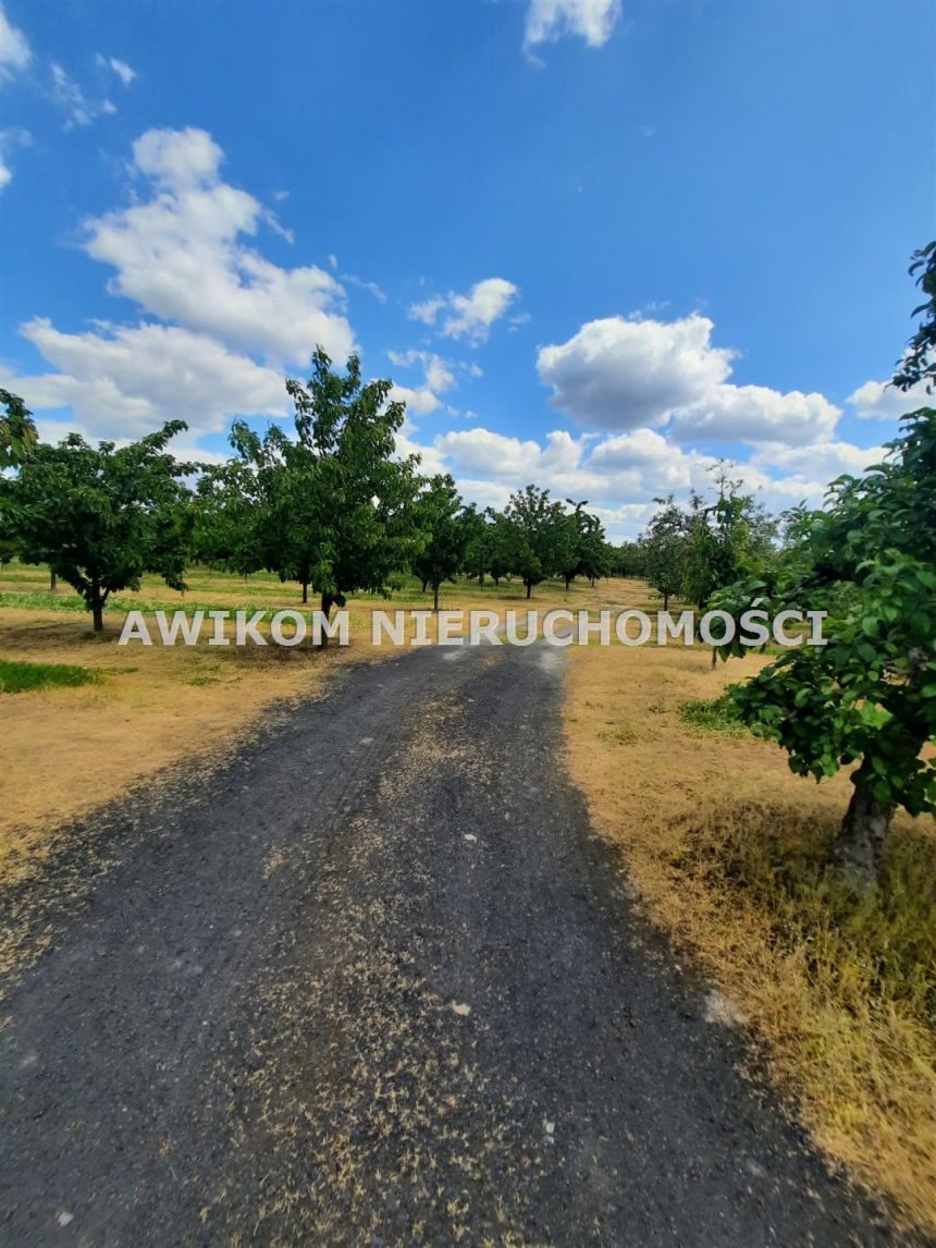 Kornelówka, 1 400 000 zł, 5.67 ha, rolna miniaturka 2