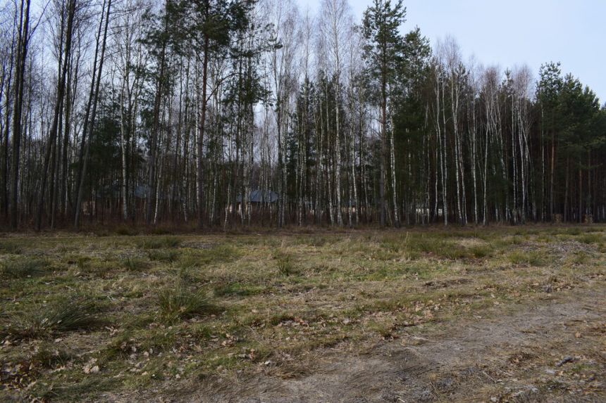 Działki 10a pod zabudowę pod lasem- Widełka miniaturka 4