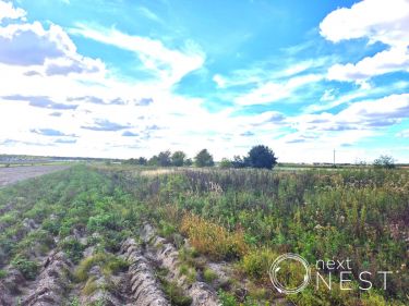 Lesznowola 6 417 000 zł 1.6 ha