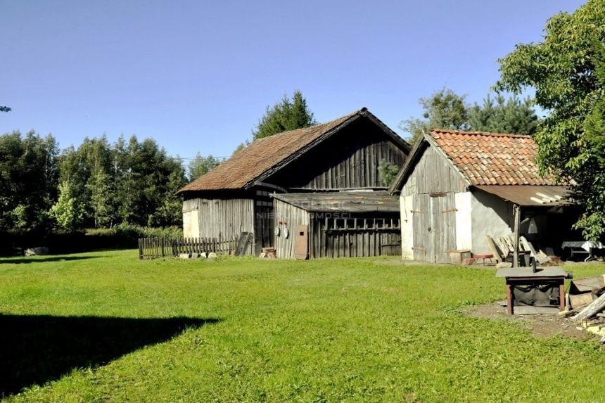 Wysoka Dąbrowa - warmińskie siedlisko z 1920r. miniaturka 4