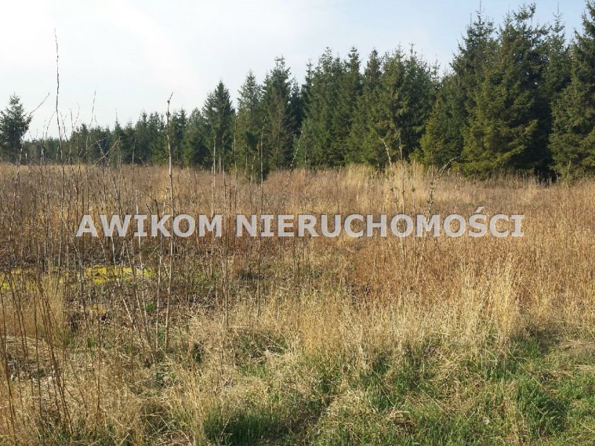 Szeligi, 220 000 zł, 2.02 ha, przyłącze elektryczne miniaturka 2