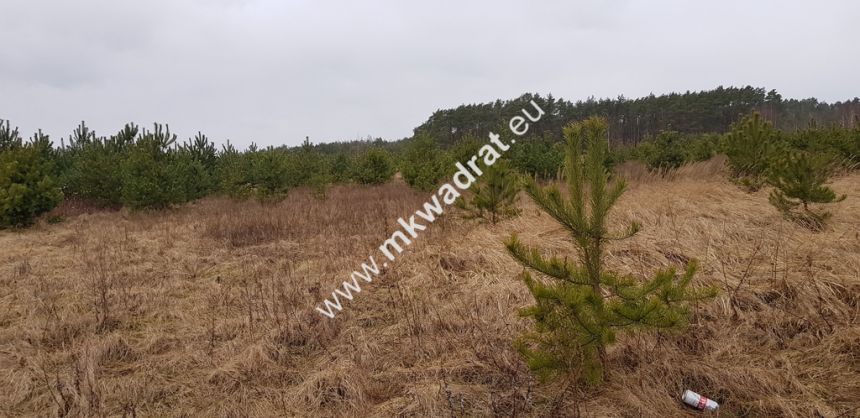 CIEKAWA OFERTA W NISKIEJ CENIE miniaturka 3