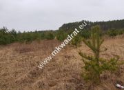 CIEKAWA OFERTA W NISKIEJ CENIE miniaturka 3