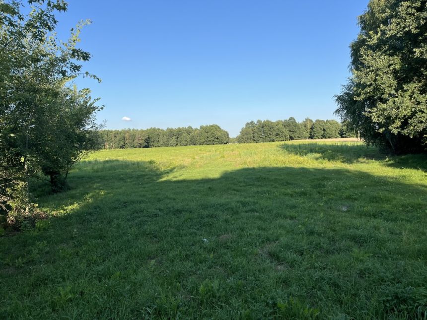 Duża działka 2,9 ha w Jabłonowie gm. Policzna. miniaturka 7