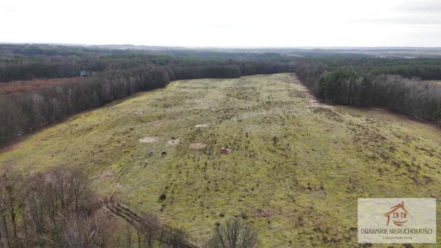 Prosino, 1 985 000 zł, 55.37 ha, rolna miniaturka 5
