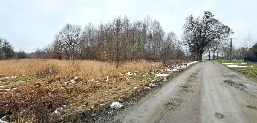 Działka budowlana i rolna, Samoklęski Kol. Druga - zdjęcie 1