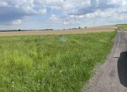 Grunt rolny 1,5ha warunki zabudowy Sokołowo k/Witkowa miniaturka 7