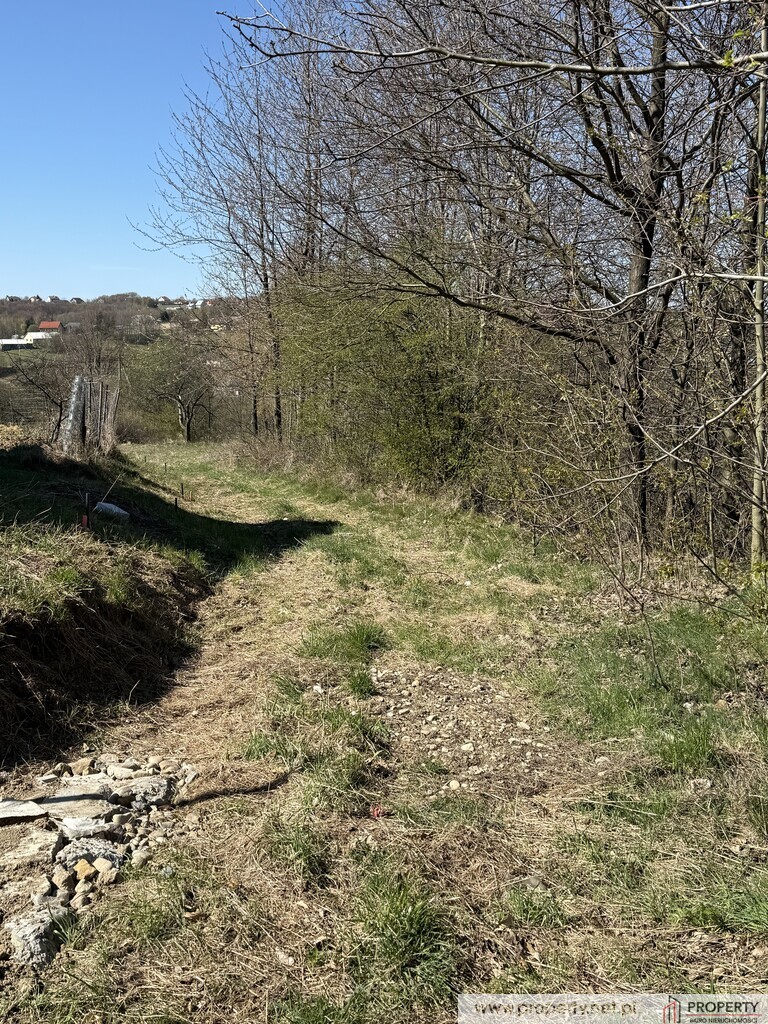 Działka widokowa 26.5 ar, Stasiówka, Dębica miniaturka 14