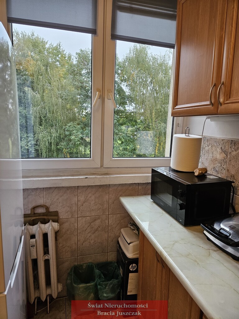 SZCZEPIN, 2 POKOJE, NISKA ZABUDOWA miniaturka 7
