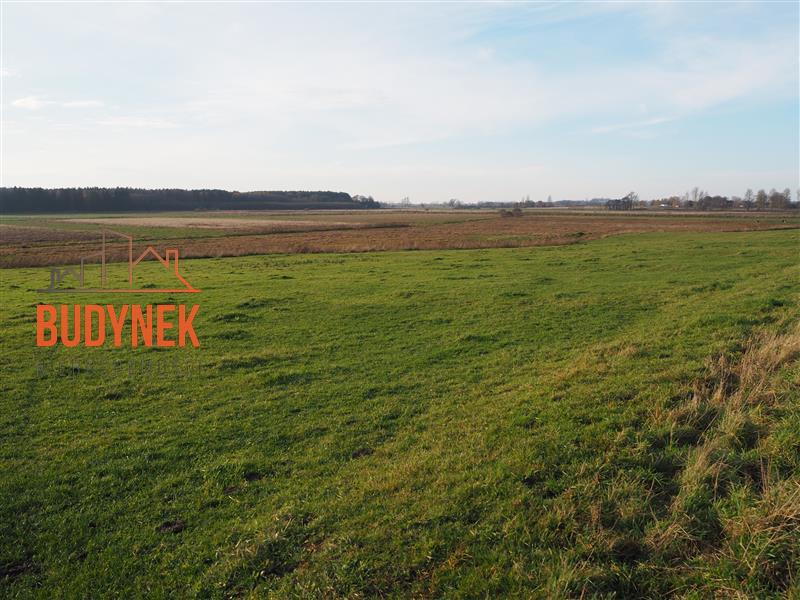 Działka rolna - Krupy miniaturka 12