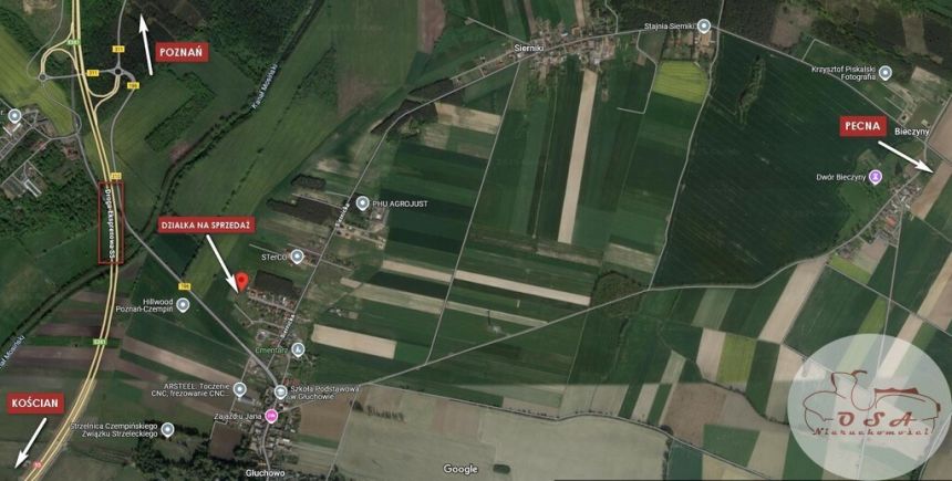 Działki w Głuchowie *las i droga S5* miniaturka 10