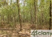 Sękocin-Las, 6 500 000 zł, 1.2 ha, woda w drodze miniaturka 2