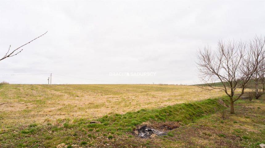 Dom z dużą działką – Januszowice miniaturka 41