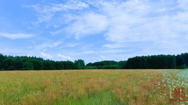 Kuriany Kolonia Kuriany, 145 000 zł, 9.82 ar, budowlana