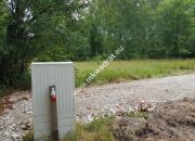 Działka Budy Grzybek 3000 m2 miniaturka 6