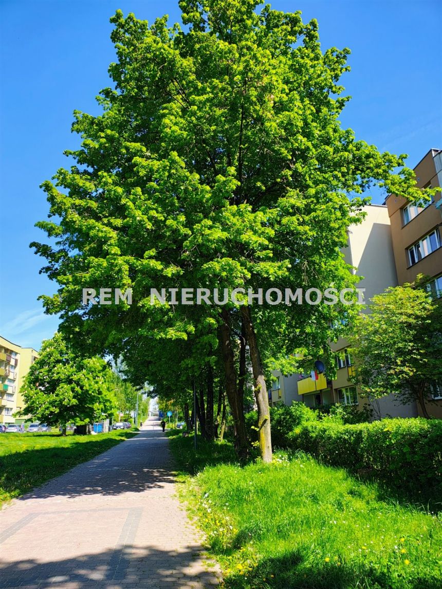 Tychy, 2 700 zł, 44 m2, umeblowane miniaturka 12