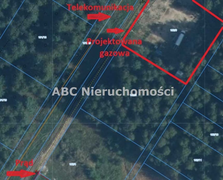 Skórka, 340 000 zł, 161.2 m2, aneks kuchenny połączony z salonem miniaturka 16