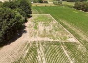 Działka z W.Zabudowy w Radzanku –Gm.Maszewo miniaturka 2