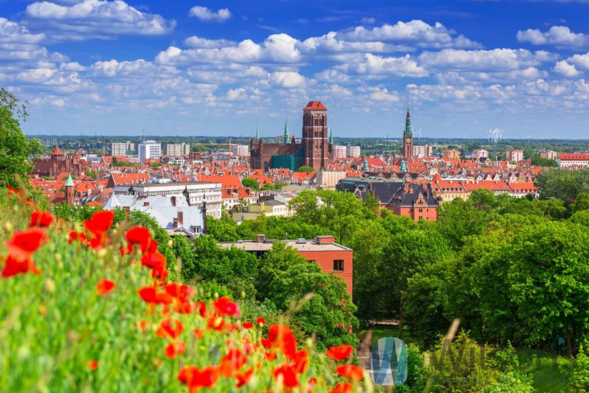 Gdańsk Śródmieście, 827 000 zł, 81.04 m2, M2 miniaturka 5